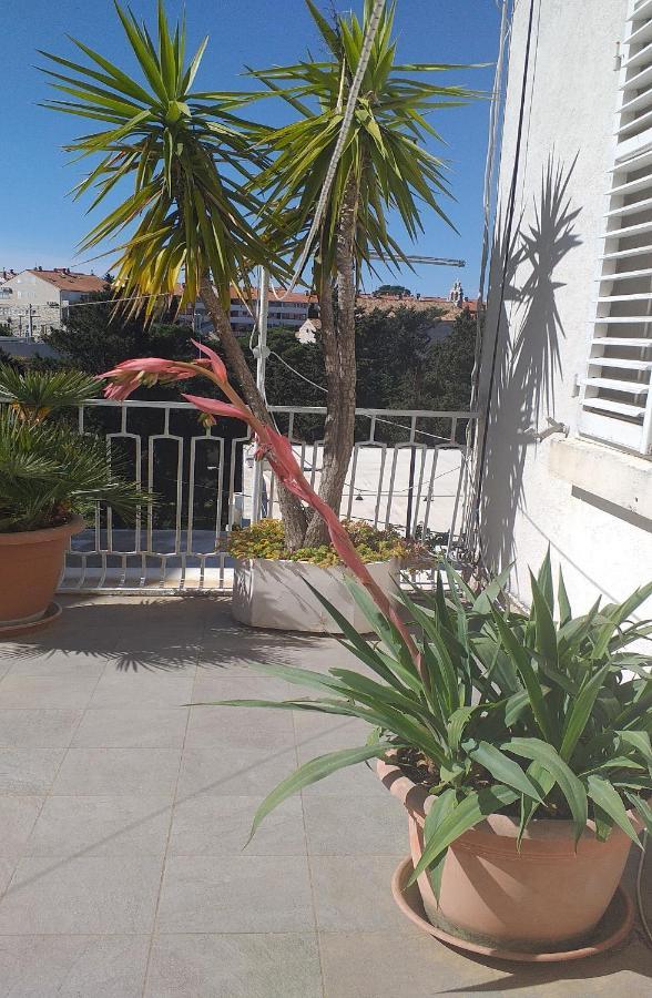 Plavi Zal Apartment Dubrovnik Luaran gambar