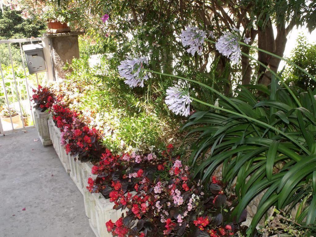 Plavi Zal Apartment Dubrovnik Luaran gambar